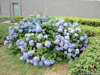 写真1104