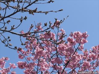 写真1275