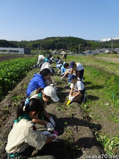写真2512