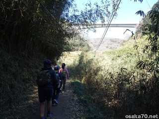 写真2576