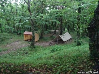 写真2778