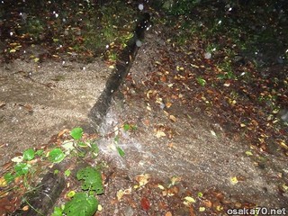 写真2811