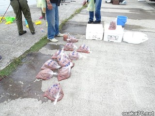 写真2825