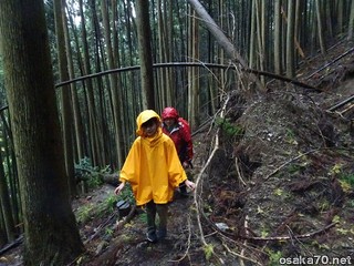 写真2842