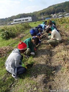 写真2850