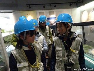 写真2866