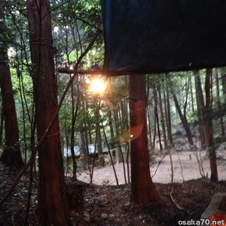 写真2984