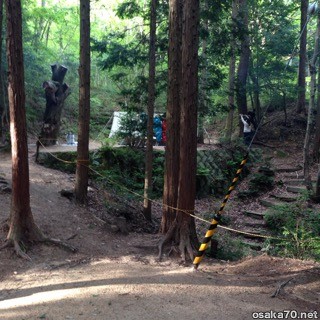 写真3029