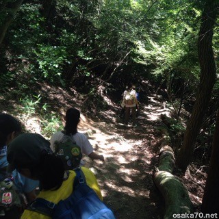 写真3169