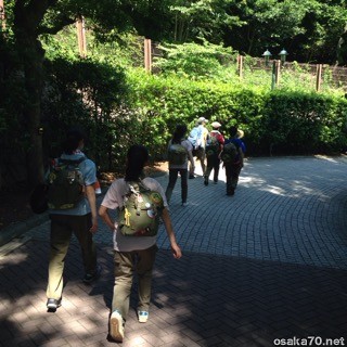 写真3176