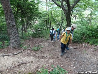 写真3313