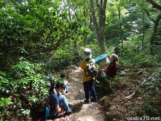 写真3317