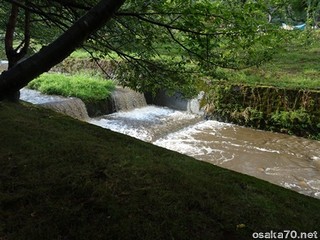 写真3358