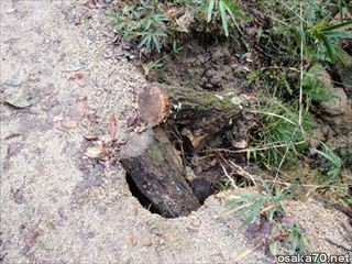 写真1109