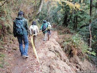 写真1111