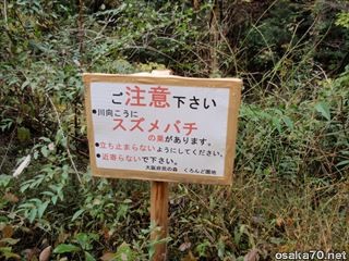 写真1118