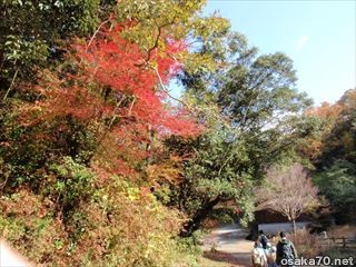 写真1123