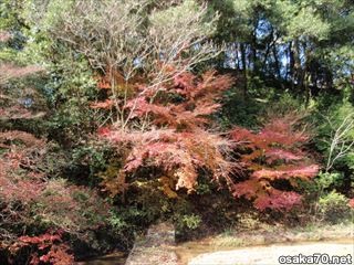 写真1126