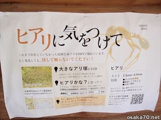 写真1128