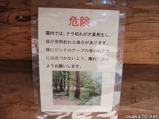 写真1129