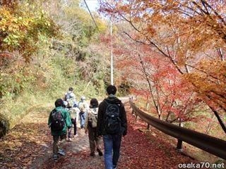 写真1130