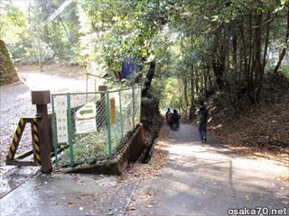 写真1149