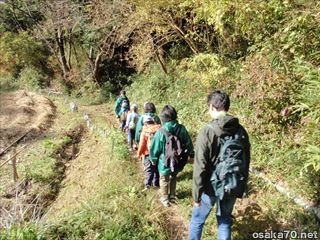 写真1153