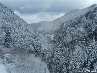写真929