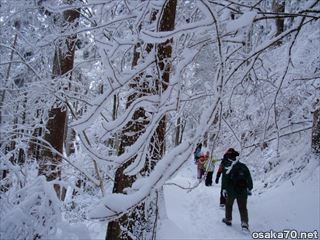 写真941