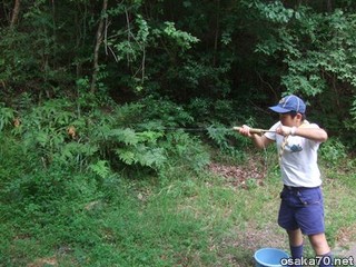 写真1752