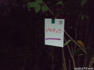 写真1782