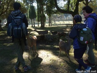 写真1833