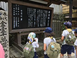 写真2053