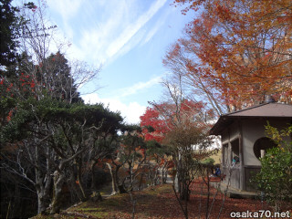 写真2174