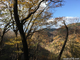 写真2178