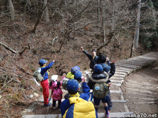 写真2288