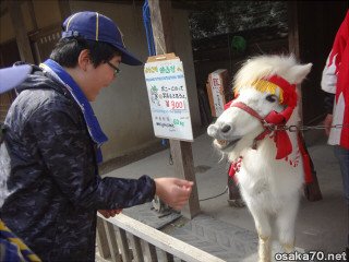 写真2325