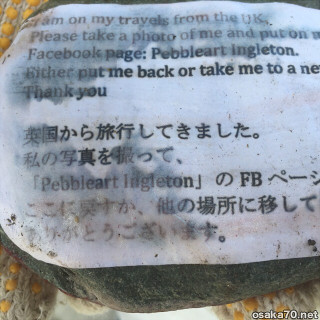 写真2439