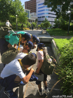 写真2449