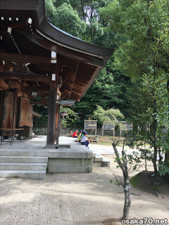 写真2506