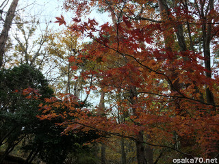 写真2595