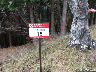 写真2597