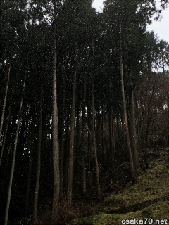 写真2651