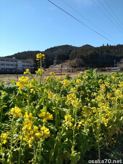 写真2696