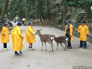 写真2735