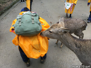 写真2736