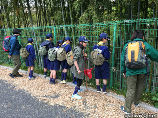 写真2779