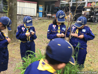 写真2787