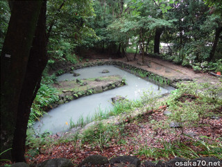 写真2886