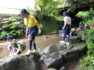 写真2887